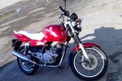 پالس پره ای البالویی  - تهران