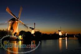 مترجم زبان هلندی