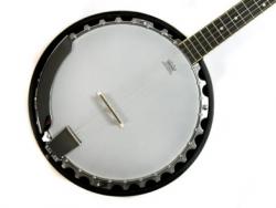فروش فوری ساز بانجو remo banjo  - تهران