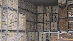 سردخانه دومداره تهران شــباهنگ  - تهران