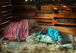 بدنبال هم اتاقی در سرخس - مشهد یا شهرهای شمال