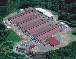 New Technology New invention in poultry saloon