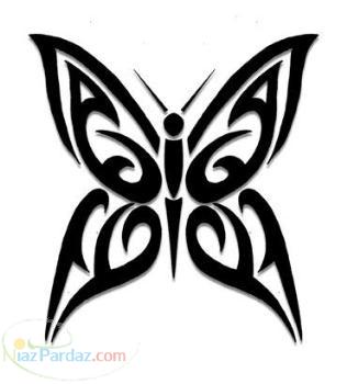 تاتو_آموزش تاتو