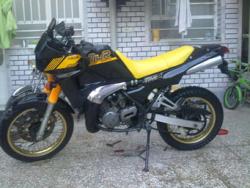 250 tdr برگ سبز تمیز