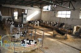 تجهیزات تلقیح مصنوعی