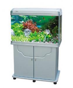 فروش ویژه اکواریوم ada kb800f  - اصفهان