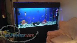 فروش آکواریوم قهوه ای سوخته mdf