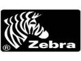 نماینده رسمی پرینترهای زبرا zebra  - تهران