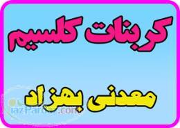 کربنات کلسیم