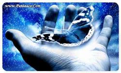 تدریس خصوصی ریاضی حسابان هندسه تحلیلی  - تهران