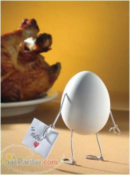 مزرعه پرورش شترمرغ