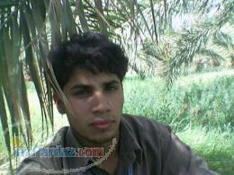 خرمای مضافتی نرماشیربم