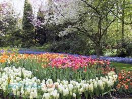 طراحی فضای سبز  مشاوره و اجرا