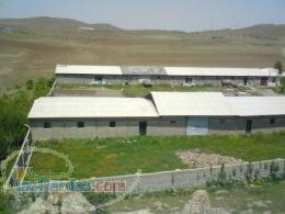 فروش دامداری