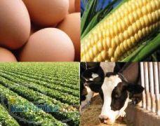 فروشنده خوراک دام و طیور