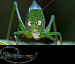 جابجایی از نیشابور به تهران قزوین کرمانشاه اراک