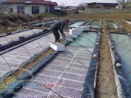 سيني كشت نشا سيني نشا