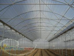 ساخت و نصب گلخانه