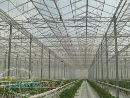 شرکت باغ زرین