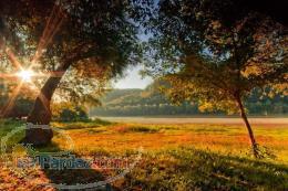 اختراع بی نظیر دستگاه تولید برق جاذبه ای