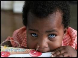 فروش بی واسطه و فوری زمین در شمال- تنکابن (شهسوار)