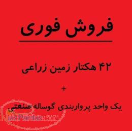 42 هکتار زمین کشاورزی  گاوداری صنعتی
