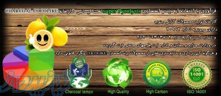 کارخانه زغال چوب cocolike