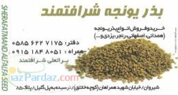 بذر یونجه شرافتمند