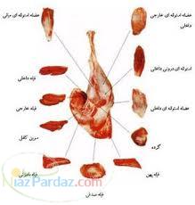 فروش گوشت شترمرغ به صورت عمده