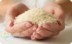 خرید برنج تایلندی و اروگوئه