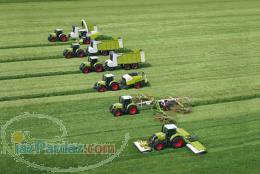 خرید فروش( یونجه کلش ذرت)به تمام نقاط کشور