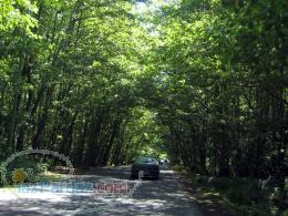 خانه ی شخصی ساز بین دریا و جنگل در شمال