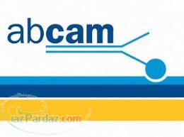 کیت و آنتی بادیهای Abcam