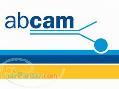کیت و آنتی بادیهای Abcam