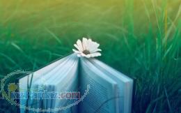 ترجمه تخصصی متون وآموزش زبان عربی