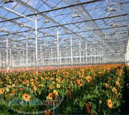 شرکت جی لیان جی تولید کننده ورقهای پلی کربنات