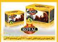شرکت زغال رویال