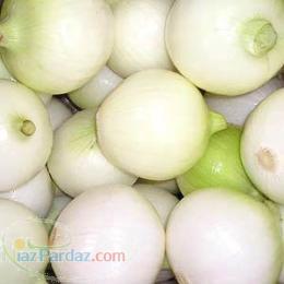 فروش موسیر و بذز موسیر