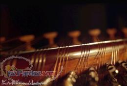 آموزش خصوصی سنتور