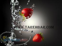 شرکت تره بار دشت گلستان