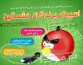 خرید اینترنتی اسپیکر انگری برد اسپیکر Angry Birds