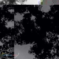 فروش نانو سیلیس خریدنانو سیلیکا