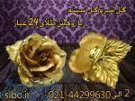 خرید و فروش گل سینه طلا