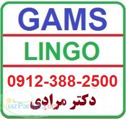 تدریس خصوصی نرم افزار های لینگو و گمز Gams Lingo
