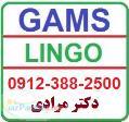 تدریس خصوصی نرم افزار های لینگو و گمز Gams Lingo