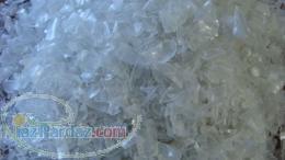 خرید و فروش پت