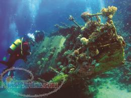 آموزش صنایع دریائی