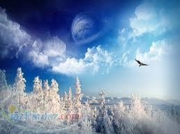 دیپلم کاردانش کامپیوتر(رسمی) - مجتمع فنی تدبیرگران