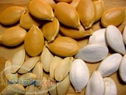 فروش عمده انواع تخمه کدو(مشهدی–گوشتی–مرمری و )