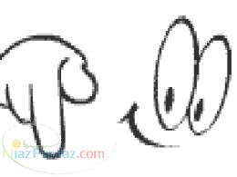 تورهوائي قطار واتوبوسي استانبول آنكارا وان وتاتوان